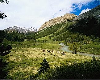 《瘟疫传说：安魂曲》现已通过Steam Deck验证